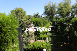 九里山公墓二区：昌平区的合法安葬之地