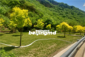 2023年银川节地生态安葬活动在福寿园举办