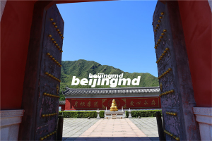 十三陵景仰园陵园树葬价格一览