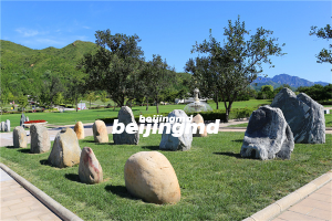 朝阳长青园骨灰林怎么样，价格贵吗？