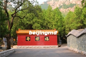 北京树葬陵园有哪几家,北京周边的也可