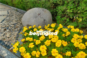 长城华人怀思堂价格一览及公交路线