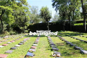 炎黄陵园价格以及位置