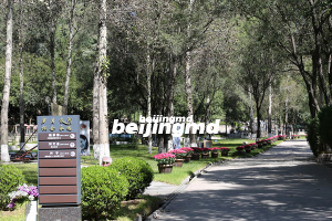 北京墓园中哪一家比较好？哪一家的性价比高？