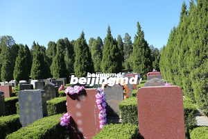 桃峰陵园卧碑的价格，桃峰陵园卧碑怎么样？