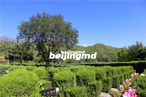 凤凰山陵园墓地价格一览介绍