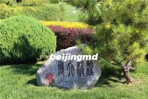 大兴区天堂公墓地址在哪里？有去天堂公墓的免费班车吗？