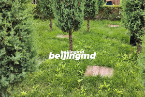 咸阳市民政局殡葬信息化建设成效显著