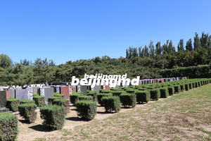 北京墓地管理费规定是什么？年限到期后怎么收费？
