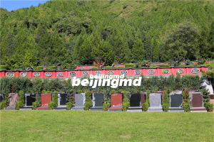 欢度六一——万桐园公墓员工代表走进福利院