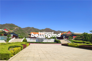 上海公布反诈预警有整治殡葬违法,法治为民办实事项目