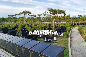 缅怀乔宽元先生：“我分明就是殡葬领域的从业者”