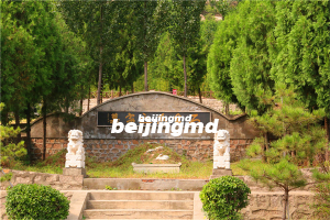 昌平墓地，桃峰陵园骨灰安葬仪式流程记录