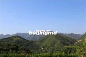 北京市怀柔区九公山长城纪念林树葬陵园