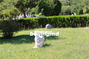 北京市33家合法公墓名单一览及地址分布情况