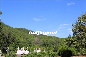 北京华夏陵园有班车吗？在哪里可以乘坐？