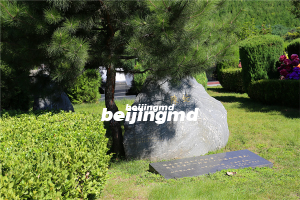 通往凤凰山陵园道路南羊路封路通知