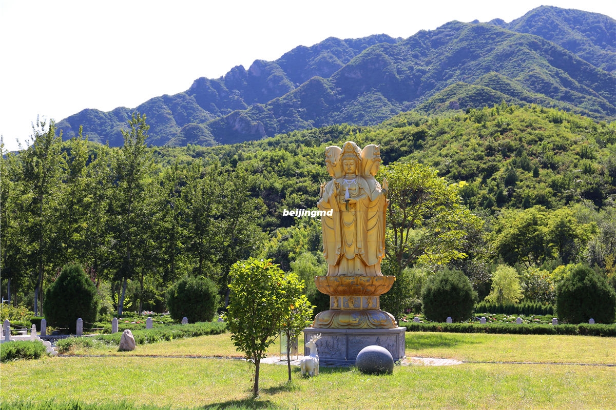 凤凰山陵园VS天寿陵园对比哪个好