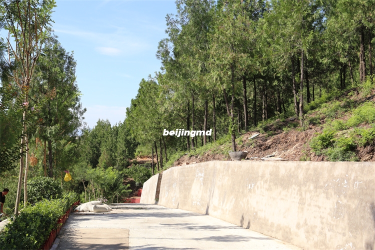 九里山二区公墓上山之路
