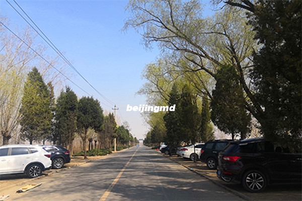 兰生园停车场环境